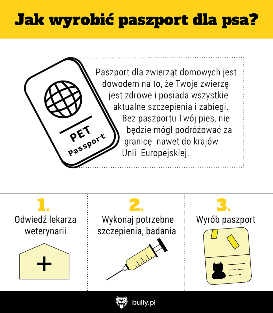 Infografika - Jak wyrobić paszport dla psa?